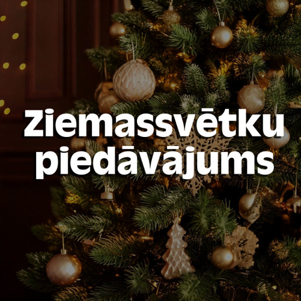 Cepta pildīta zoss ar āboliem, dzērvenēm un apelsīniem