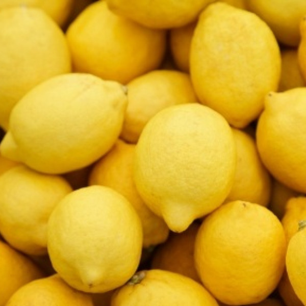 Citroni Eureka, Ēģipte