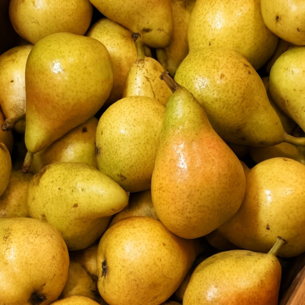 Bumbieri mazie Limonera 2 šķira Spānija