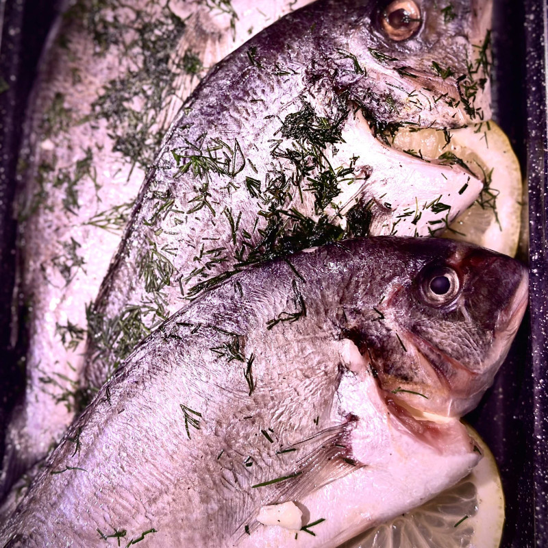 Dorada