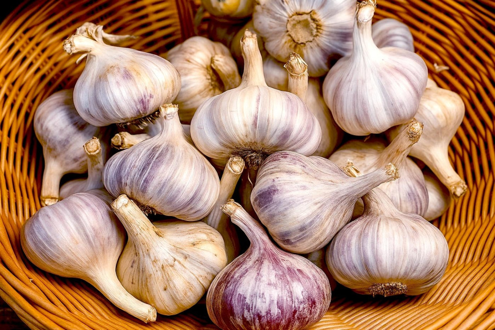 Ķiploki 50+ Latvija