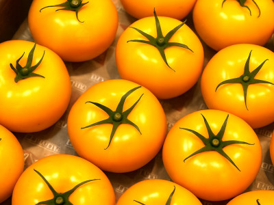 Tomāti dzeltenie BBB 2 šķ. Polija