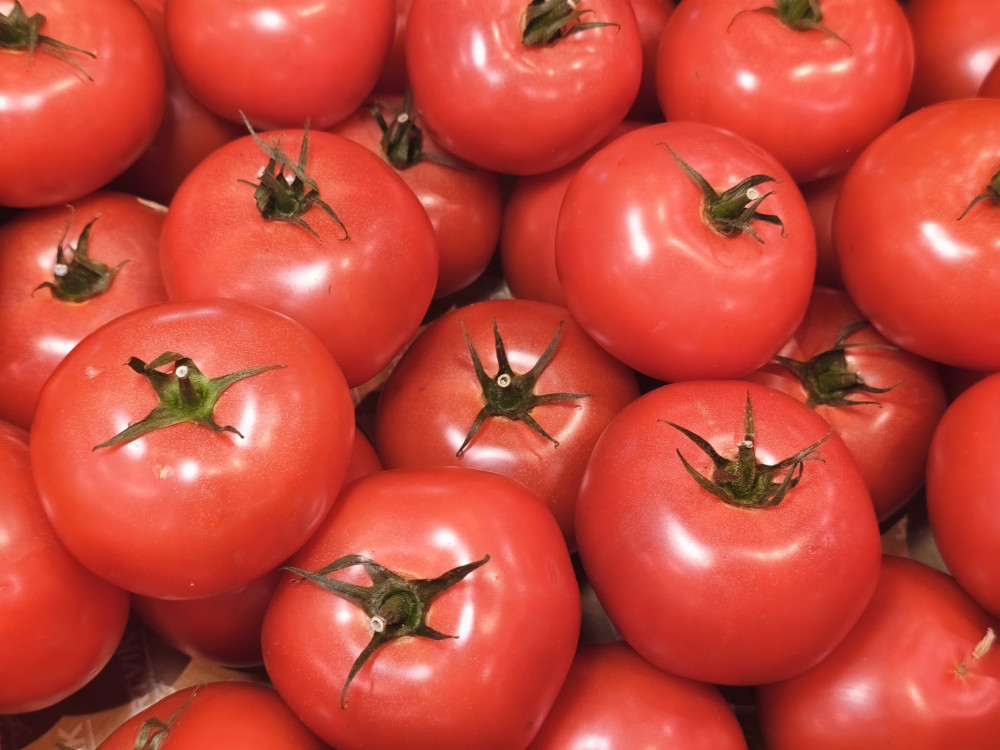 Tomāti Aveņu BB Polija