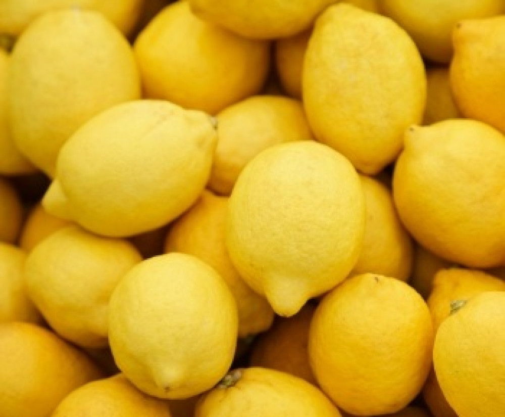 Citroni Eureka, Ēģipte